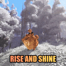 a picture of a cat with the words rise and shine