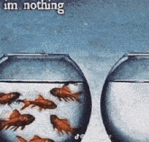 Nothing Im Nothing GIF - Nothing Im Nothing Im Nothing Fish GIFs