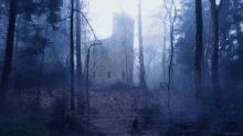 Forest Lonely GIF
