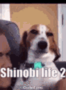 Shinobi Life2 GIF
