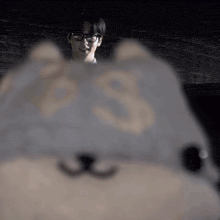 a man wearing glasses is looking at a stuffed animal with the number 33 on it