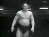 Taihō 相撲 GIF - Taihō 相撲 Sumo GIFs
