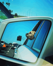 Dog Road Trip GIF - Dog Road Trip GIFs