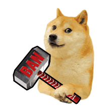 quick ban ban hammer ban doge doge meme