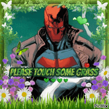 a picture of a superhero with the words please touch some grass on it