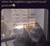 Treyreloaded Cat GIF - Treyreloaded Cat When The Neighbors Argument Sound Good GIFs