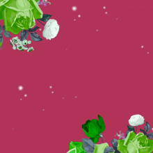 a pink background with green and white flowers and the words " i 'm sorry "