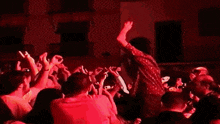 a crowd of people watching a performer on stage with their hands in the air