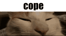 Cope Groot Cope GIF - Cope Groot Cope GIFs