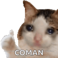 a crying cat is giving a thumbs up and the word coman is on the bottom of the image .