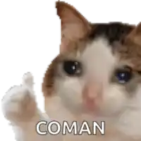 a crying cat is giving a thumbs up and the word coman is on the bottom of the image .