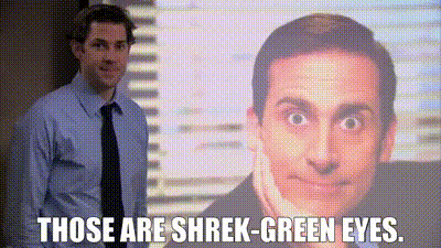 The Office Michael Scott GIF – The office Michael scott Shrek green ...