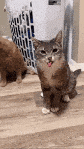 a cat with its tongue out is sitting in front of a white laundry basket