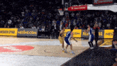 Basketball Baloncesto GIF