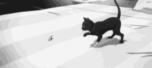 Adorable Cat GIF - Adorable Cat Playing GIFs