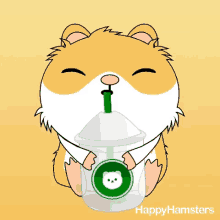 Happy Hamster Drinking GIF - Happy Hamster Drinking Hamster GIFs