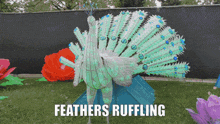 Feathers Ruffling Peacock GIF - Feathers Ruffling Peacock Colorful GIFs