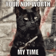 You Are Not Worth My Time Nail File GIF - You Are Not Worth My Time Nail File Cat GIFs