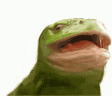 Frog Phrog GIF - Frog Phrog Groove GIFs