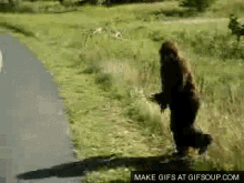 Bigfoot GIF - Bigfoot Sasquatch Dance GIFs