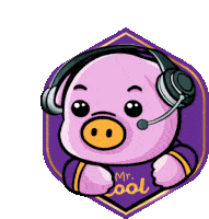a cartoon pig wearing headphones and a microphone with the words mr. cool below it