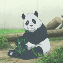 a black and white panda bear is sitting in the grass