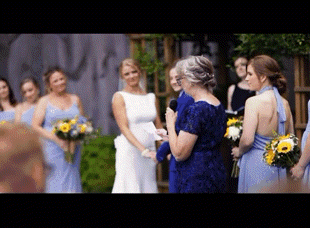 Killer Bees Murder Hornet GIF Killer bees Murder hornet Wedding Discover Share GIFs