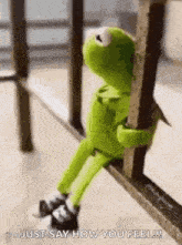 kermit the frog is sitting on a railing .