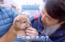 a man is holding a puppy and asking where are you looking at .