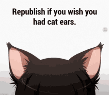 Cat Ears Cute GIF - Cat Ears Cute Kawaii GIFs