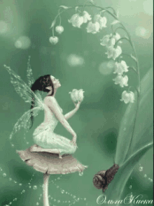 fairy muguet