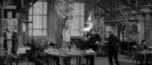 Liselotte Pulver One Two Three GIF - Liselotte Pulver One Two Three Billy Wilder GIFs