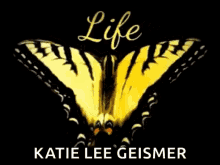 Butterfly Life GIF - Butterfly Life Is GIFs