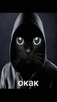 a black cat wearing a hoodie with the word okak on the bottom left