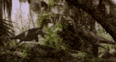a couple of dinosaurs are walking through a forest