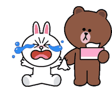 crying cony
