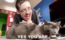 yes you are ricky berwick cat happy