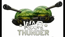 two watermelons with guns on top of them are sitting next to each other on a white background .