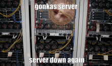 Gonk Gonkas GIF - Gonk Gonkas Server Down GIFs