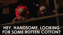 Hey Handsome Rotten Cotton GIF - Hey Handsome Hey Rotten Cotton GIFs