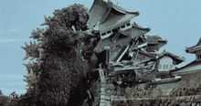Godzilla Mothra GIF - Godzilla Mothra Mothra Vs Godzilla GIFs