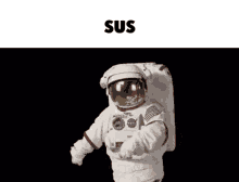 Sus Sussy GIF - Sus Sussy Among Us GIFs