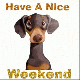 Have A Nice Weekend Funny GIFs | Tenor