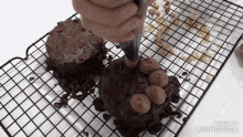 a person is decorating a chocolate cake with a piping bag and the words made in animatica are visible