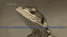 You Dont Deserve To Bask In My Coolness Awesome GIF - You Dont Deserve To Bask In My Coolness Awesome Lizard GIFs