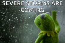kermit the frog looking out a window with the words " severe storms are coming "
