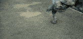 a statue of a man with a rope around his neck is fighting another man