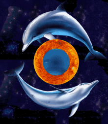 Neptune Sun Pisces GIF