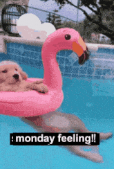 Monday Feeling GIF - Monday Feeling Monday Feeling GIFs