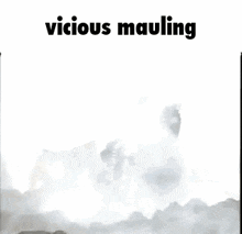 Vicious Mauling GIF - Vicious Mauling Vicious Mauling GIFs